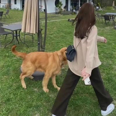 连环杀手的生活指南