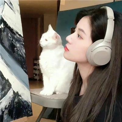 入侵